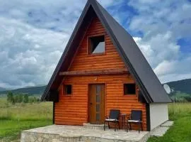 Planinska iskra