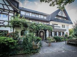 Landhotel Rebstock, hotel in Oberkirch