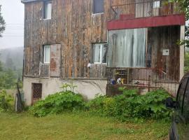 Hıdırnebi Yayla Evi, cabin sa Akcaabat