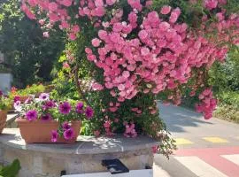 Casa vacanze il Mandolino tra Orvieto e Bolsena