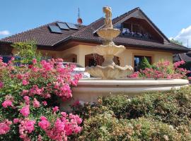 Ubytování Carmen, guest house in Česká Skalice