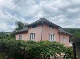 Casa IBT, hotel v destinaci Şuncuiuş