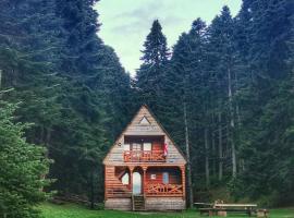 Cottage Sochi, hotel din Ambrolauri