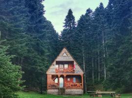 ხის სახლი, chalet i Ambrolauri
