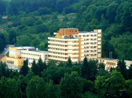 Hotel Germisara, hotel em Geoagiu Băi