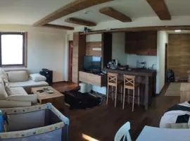 Vidik suite