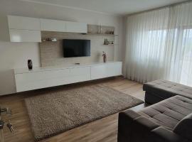 Apartament 2 camere, overnatningssted med køkken i Râmnicu Vâlcea
