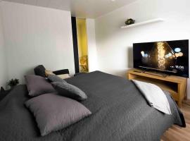 Moderni huoneisto loistavalla paikalla - 65’Smart TV, nopea netti, παραθεριστική κατοικία στη Λαπεενράντα