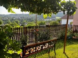Apartman Simona