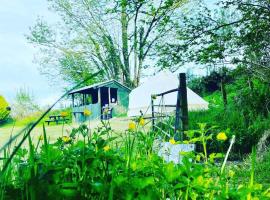 Brambles Bell Tent, glamping site in Carmarthen
