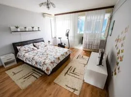 Spacious apartment (60sqm) with a balcony