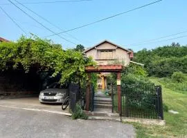 Dva Apartmana Djordjevic