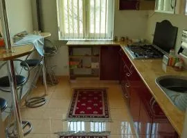 2 CAMERE APARTAMENT - BROTACEI