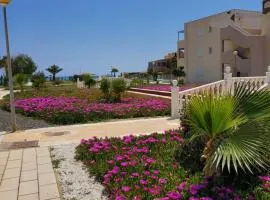 Casa baja naturista con palmeras y patio!