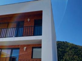 Villa_Tba, rental liburan di Borjomi