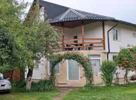 Casa Pandrea, cottage à Cârţişoara