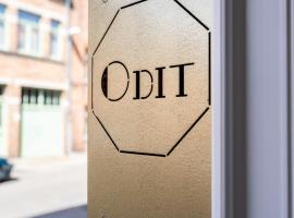 Odit B&B, holiday rental in Bruges