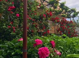 Apartman Perper 2 Trebinje, hotel v destinaci Trebinje