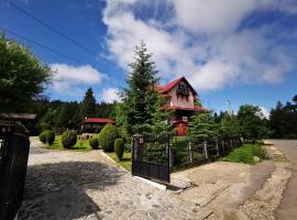 FOX VALLEY VILLA, Bed & Breakfast in Predeal