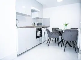 1B Apartment, 30 mins to Oxford Street