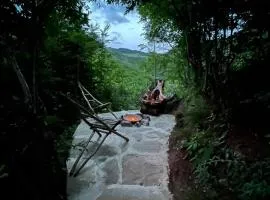 Shale Hause