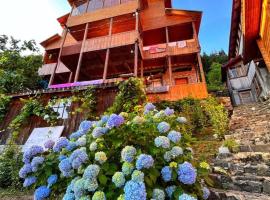 Maçahelhan Butik Otel Pansiyon, hotel in Borçka