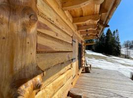 Domek Oźna płoscyna, Hütte in Rajcza