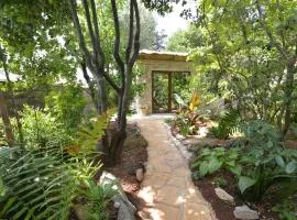 Ginko House