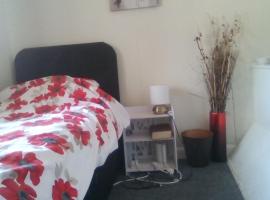 Small but bright single room not far from City Centre, hotel in Leicester