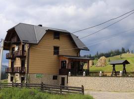 Приватна садиба SHAFRAN, hotel in Yablunytsya