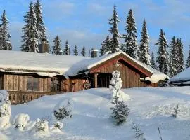 Nice Home In Sjusjen With Sauna