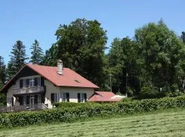 Chalet les Pounets