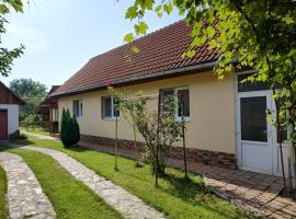 Vicky House, appartement in Făgăraş