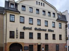 Traditionshotel Goldener Löwe, hotel v destinaci Zeulenroda