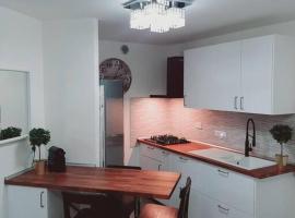 Premium apartment city center trieste