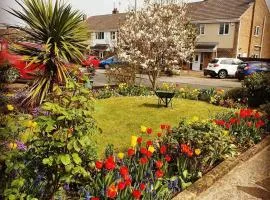 Shirley's Place
