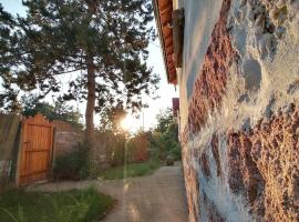 Ижата - топлина и уют, ваканционно жилище в Borovitsa