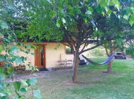 Studio en lisière de forêt