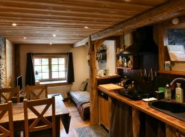 Les Posettes, appartement Le Sizeray - Mont Blanc, cabin in Vallorcine