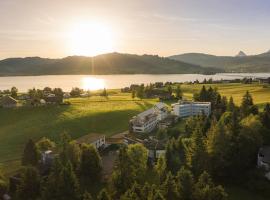 Hotel Allegro Einsiedeln – hotel w mieście Einsiedeln