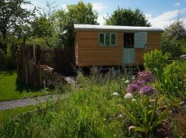 Steam and Stars Luxury Glamping, hotel in Williton