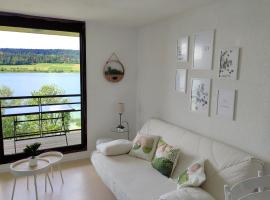 Duplex Le Reflet du Lac, hotell i Malbuisson