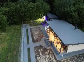 Famous Chalet Dragomirna