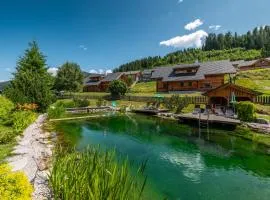 Chalet Dachsteinblick