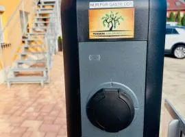 Europa Pension zum Grünen Baum