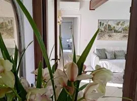 Berto's house tra mare e laguna