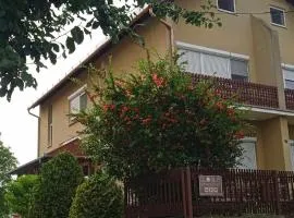 Globus Guesthouse, Vendégház