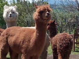 Alpaca Etna Rooms da Mariagiovanna, bed & breakfast a Linguaglossa