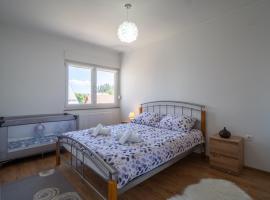 Apartman Josip，位于戈斯皮奇的酒店