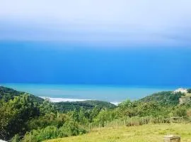 Map Of Africa Ocean View Tiny House